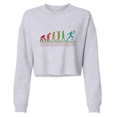 Funny Vintage Pickleball Evolution Of Man Gift Cropped Pullover Crew