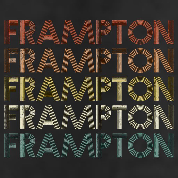 Frampton Vintage Retro Hat