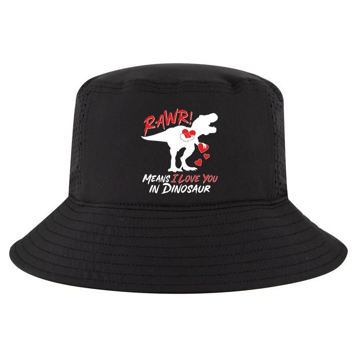 Funny Valentine Rawr Means I Love You In Dinosaur Trex Dinosaur Cool Comfort Performance Bucket Hat