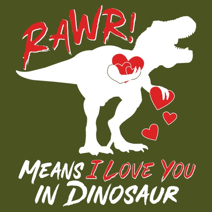 Funny Valentine Rawr Means I Love You In Dinosaur Trex Dinosaur Premium T-Shirt