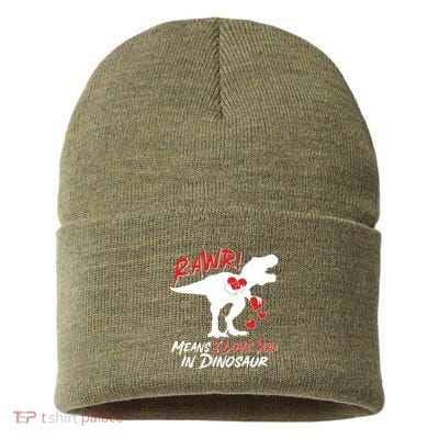 Funny Valentine Rawr Means I Love You In Dinosaur Trex Dinosaur Sustainable Knit Beanie