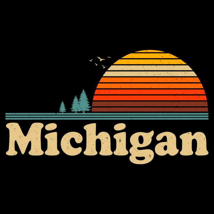 Funny Vintage Retro Michigan Sunset Logo Womens T-Shirt