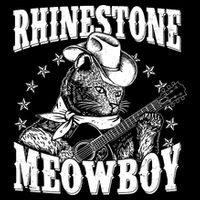 Funny Vintage Rhinestone Meowboy Cowboy Cat Visor