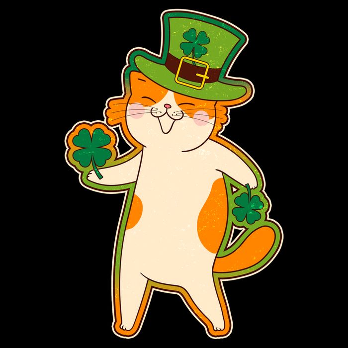 Funny Vintage St Patricks Day Leprechaun Shamrock Clover Cat Bucket Hat