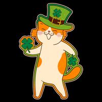Funny Vintage St Patricks Day Leprechaun Shamrock Clover Cat Crop Top