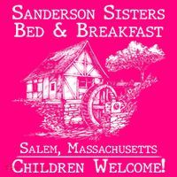 Funny Vintage Sanderson Sisters Bed And Breakfast T-Shirt