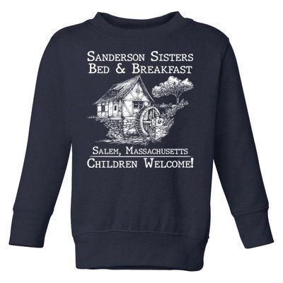 Funny Vintage Sanderson Sisters Bed And Breakfast Toddler Sweatshirt