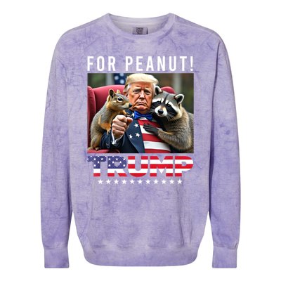 Funny Vote Trump For Peanut The Squirrel American Flag Gift Colorblast Crewneck Sweatshirt