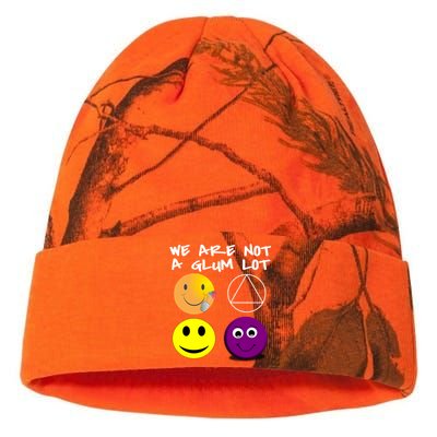 Funny We Are Not A Glum Lot Alcoholics Anonymous Recovery Cool Gift Kati Licensed 12" Camo Beanie