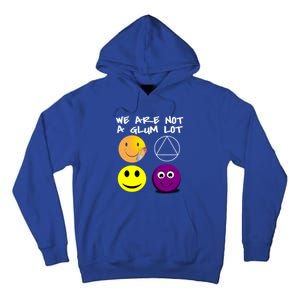 Funny We Are Not A Glum Lot Alcoholics Anonymous Recovery Cool Gift Tall Hoodie