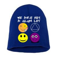 Funny We Are Not A Glum Lot Alcoholics Anonymous Recovery Cool Gift Short Acrylic Beanie