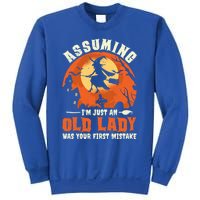 Funny Witch Assuming Im Just An Old Lady Halloween Humor Gift Sweatshirt