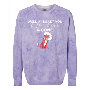 Funny Well At Least You Dont Have To Wear A Cone Colorblast Crewneck Sweatshirt