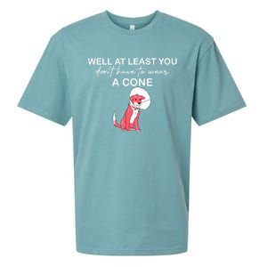 Funny Well At Least You Dont Have To Wear A Cone Sueded Cloud Jersey T-Shirt