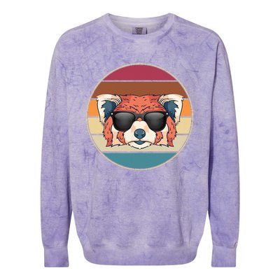 Funny Wild Animal Zoo Keeper Gift Retro Sunglasses Red Panda Colorblast Crewneck Sweatshirt