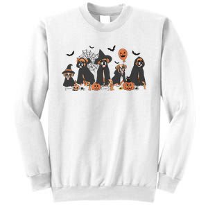 Five Witch Boxer Dog Halloween Boxer Dog Spooky Season Women Sweatshirt