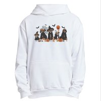 Five Witch Boxer Dog Halloween Boxer Dog Spooky Season Women Urban Pullover Hoodie