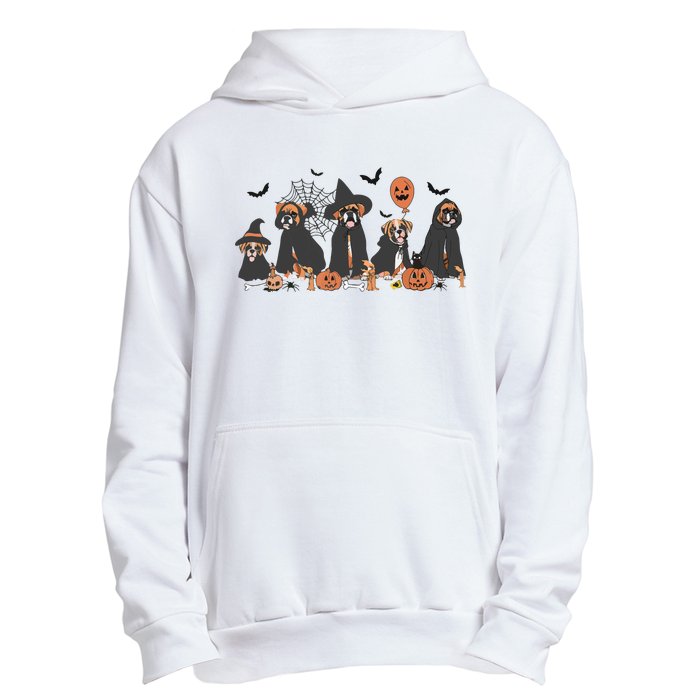 Five Witch Boxer Dog Halloween Boxer Dog Spooky Season Women Urban Pullover Hoodie