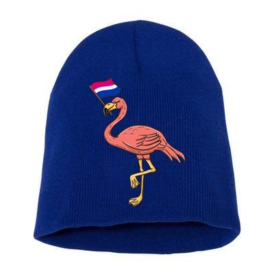 Flamingo With Bisexual Pride Flag Funny Gift Short Acrylic Beanie