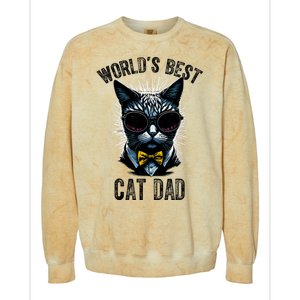 Funny WORLDS BEST CAT DAD Colorblast Crewneck Sweatshirt