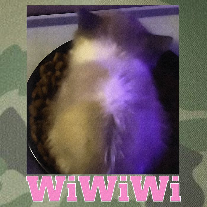 Funny Wiwiwi Cat Meme Viral Gen Z Trend Brainrot Legacy Tie Dye Trucker Hat