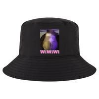Funny Wiwiwi Cat Meme Viral Gen Z Trend Brainrot Cool Comfort Performance Bucket Hat