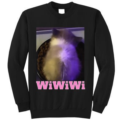 Funny Wiwiwi Cat Meme Viral Gen Z Trend Brainrot Sweatshirt