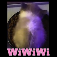 Funny Wiwiwi Cat Meme Viral Gen Z Trend Brainrot Impact Tech Backpack