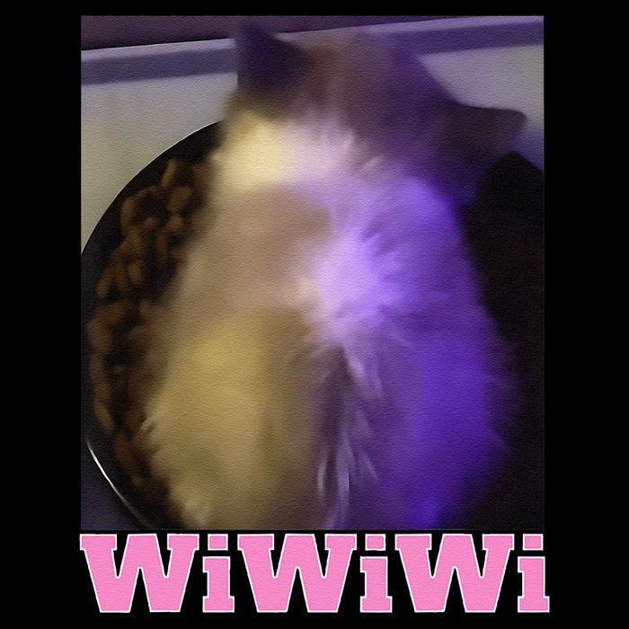 Funny Wiwiwi Cat Meme Viral Gen Z Trend Brainrot Impact Tech Backpack