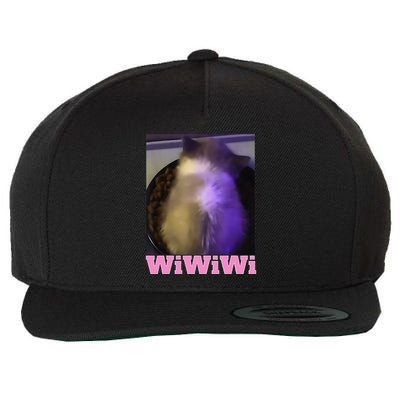 Funny Wiwiwi Cat Meme Viral Gen Z Trend Brainrot Wool Snapback Cap