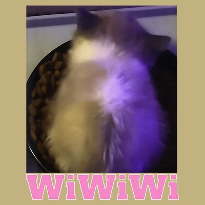 Funny Wiwiwi Cat Meme Viral Gen Z Trend Brainrot T-Shirt