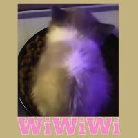 Funny Wiwiwi Cat Meme Viral Gen Z Trend Brainrot Sustainable Beanie