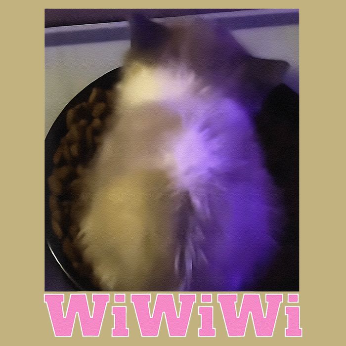 Funny Wiwiwi Cat Meme Viral Gen Z Trend Brainrot Sustainable Beanie