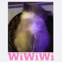 Funny Wiwiwi Cat Meme Viral Gen Z Trend Brainrot Garment-Dyed Sweatshirt