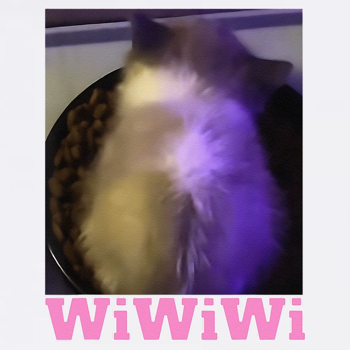 Funny Wiwiwi Cat Meme Viral Gen Z Trend Brainrot Garment-Dyed Sweatshirt