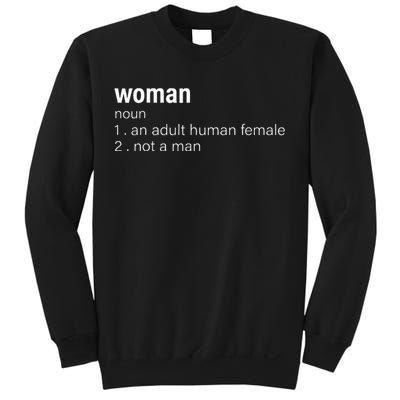 Funny Woman Definition Noun An Adult Human Female Sweatshirt