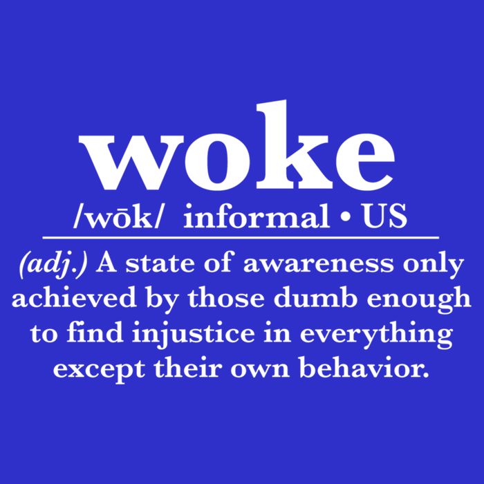 Funny Woke Definition Anti Woke Meme Gift Sweatshirt
