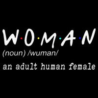 Funny Woman Definition Noun An Adult Human Female For Womens T-Shirt