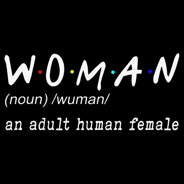 Funny Woman Definition Noun An Adult Human Female For Womens T-Shirt