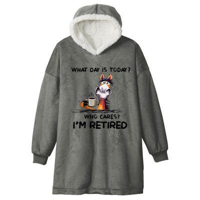 Funny What Day Is To Day Horseback Riding Horse Lover Hooded Wearable Blanket