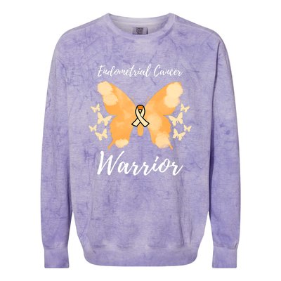 Funny Warrior Endometrial Cancer Awareness Uterine Cancer Colorblast Crewneck Sweatshirt