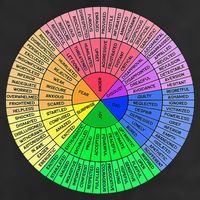 Feelings Wheel Emotion Chart Mental Health Therapy Chart 11oz C Handle Ceramic Mug