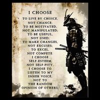 Fearless Warrior T-Shirt