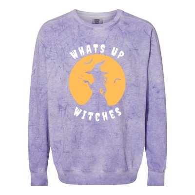 Funny Witches Funny WhatS Up Witches Up Witches Gift Colorblast Crewneck Sweatshirt