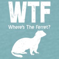 Ferret Wtf Funny Where’s The Ferret Sueded Cloud Jersey T-Shirt