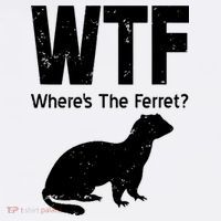 Ferret Wtf Funny Where’s The Ferret T-Shirt