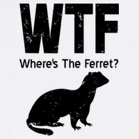 Ferret Wtf Funny Where’s The Ferret Bucket Hat