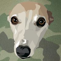 Fawn Whippet Legacy Tie Dye Trucker Hat