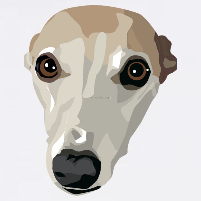 Fawn Whippet Garment-Dyed Sweatshirt