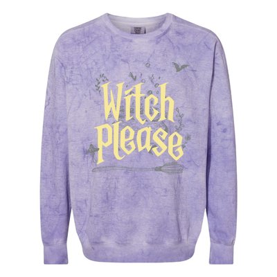 Funny Witchy Gift Witch Please Gift Colorblast Crewneck Sweatshirt